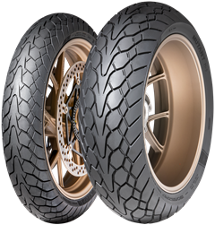 160/60R17 69W DUNLOP MUTANT